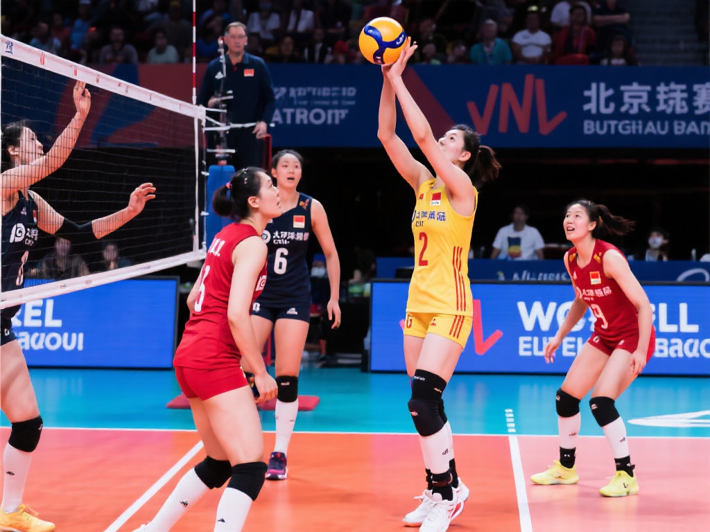 化交流的盛 化交流的盛